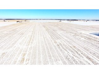 Property photo 31 - OHIO REAL ESTATE AUCTION - 202+/- ACRES IN 3 TRACTS IN VAN WERT COUNTY, OHIO